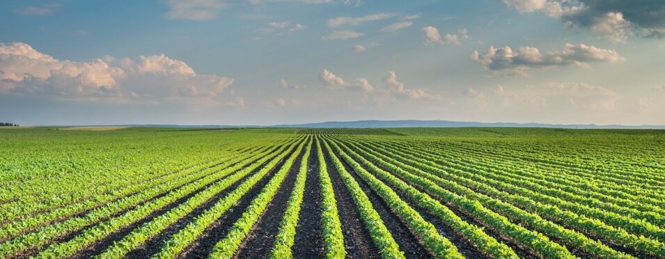 world_bank_farming